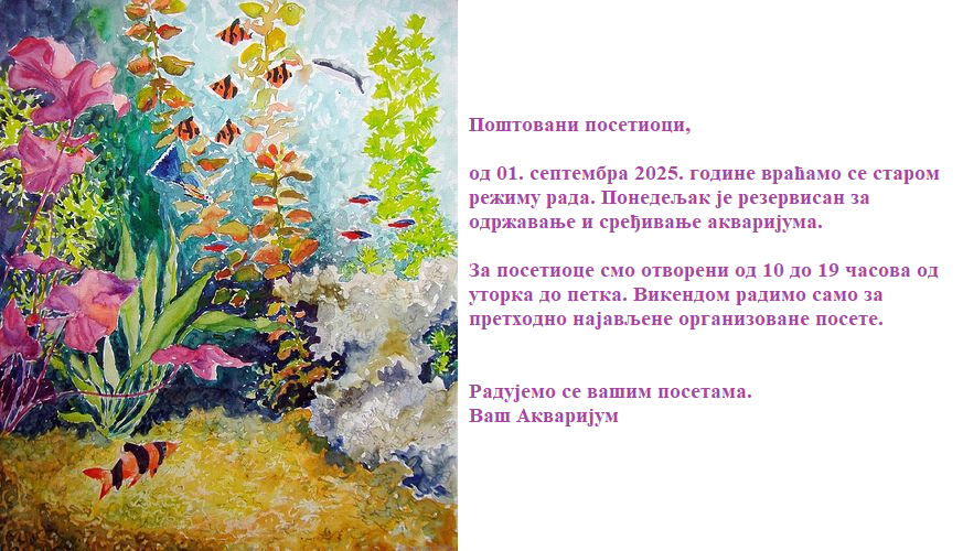 Za Akvarijum