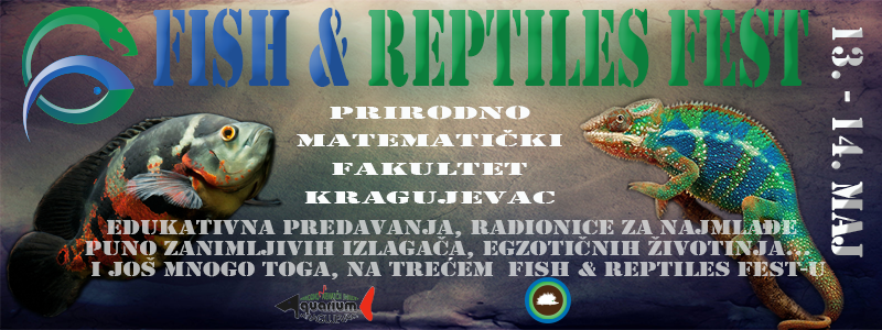 FishReptile fest