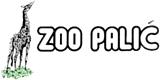 zoo